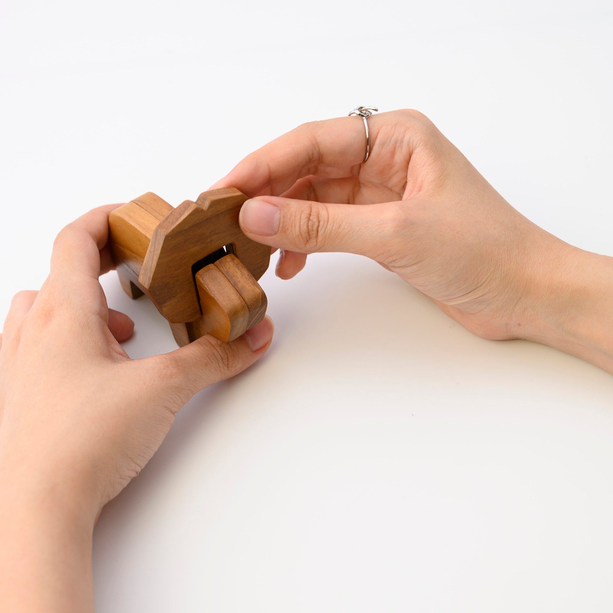 LION POST CARD HOLDER