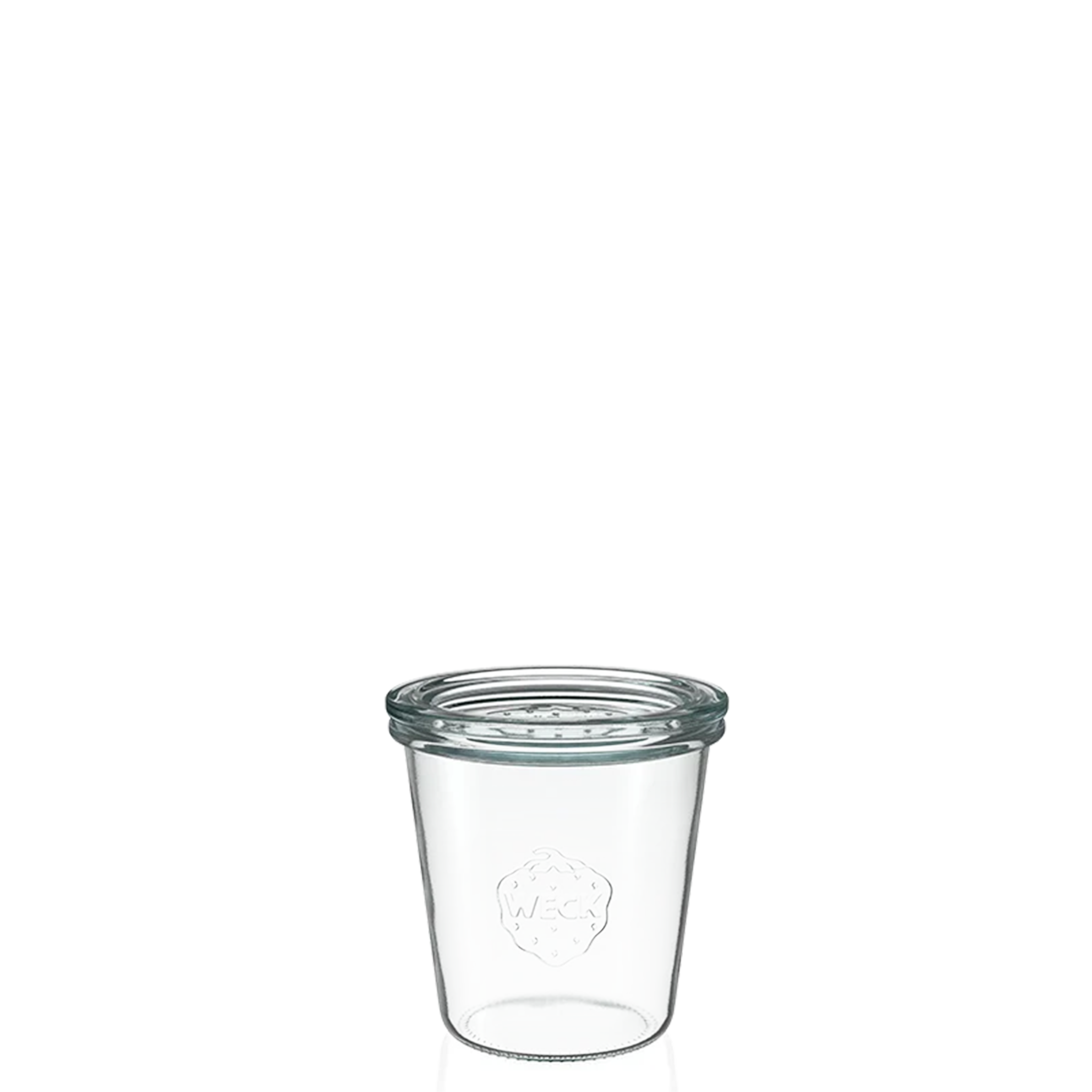 MOLD JAR 290 ML