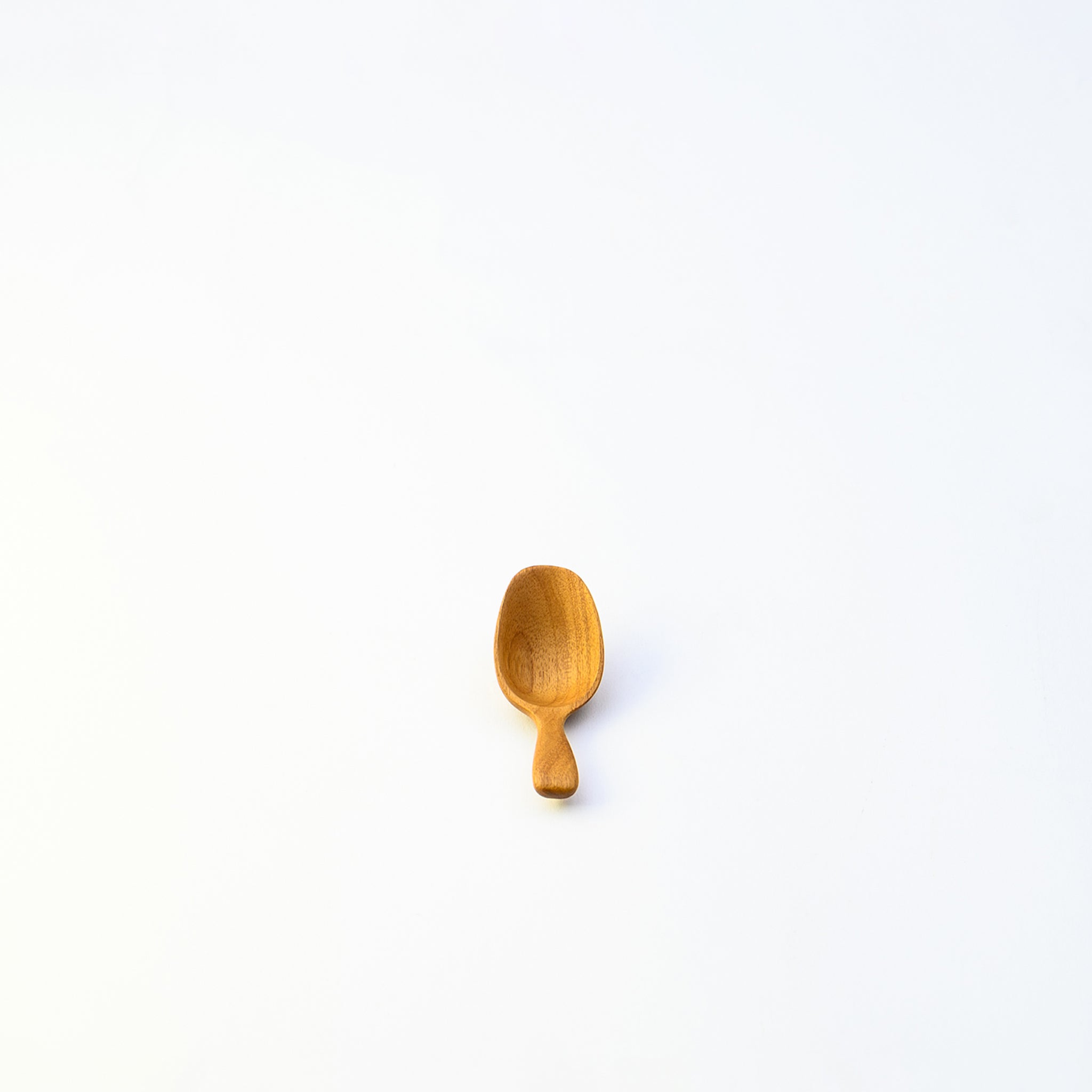 MANON TEA SERVER SPOON (TEAK)