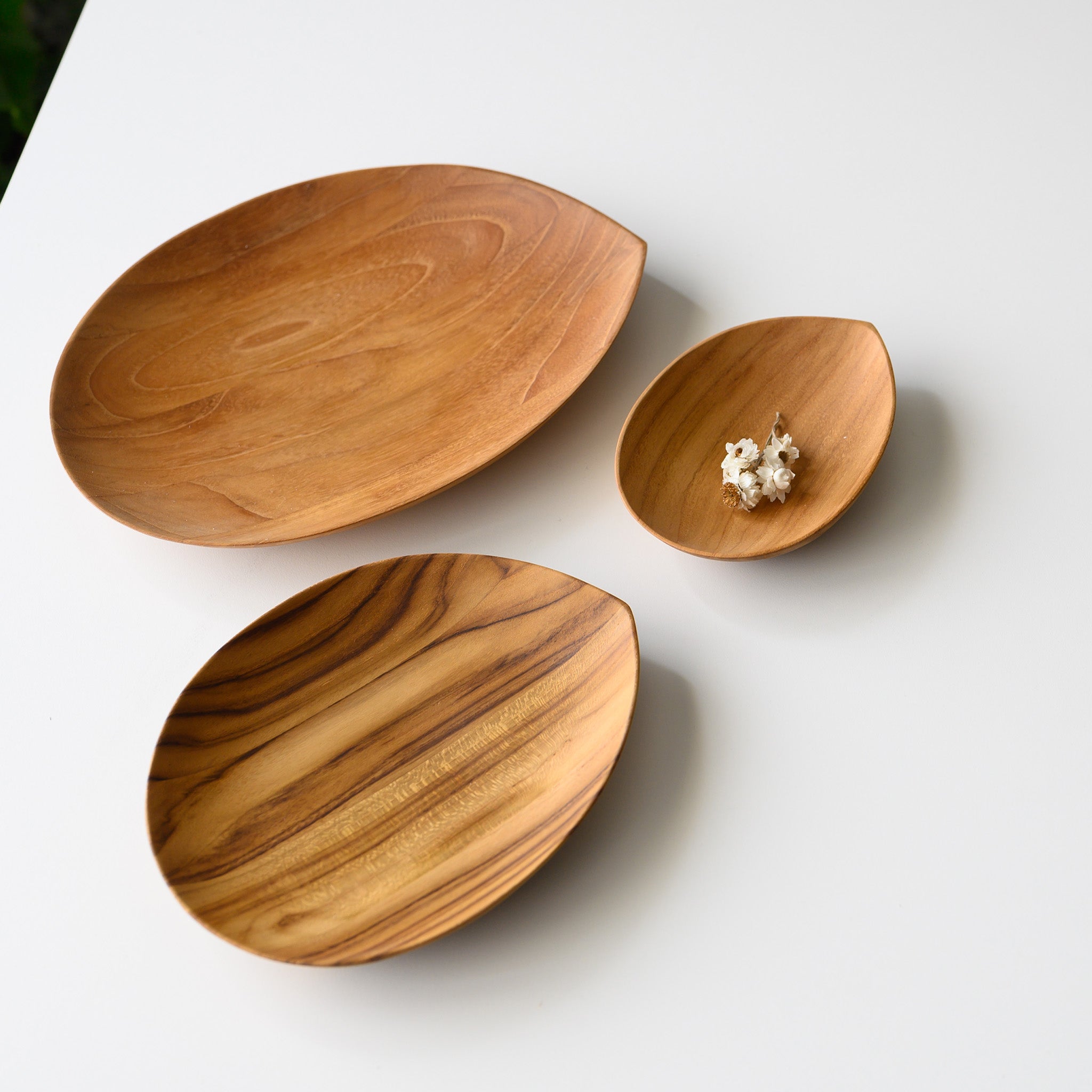 LIFE PLATE M (TEAK)